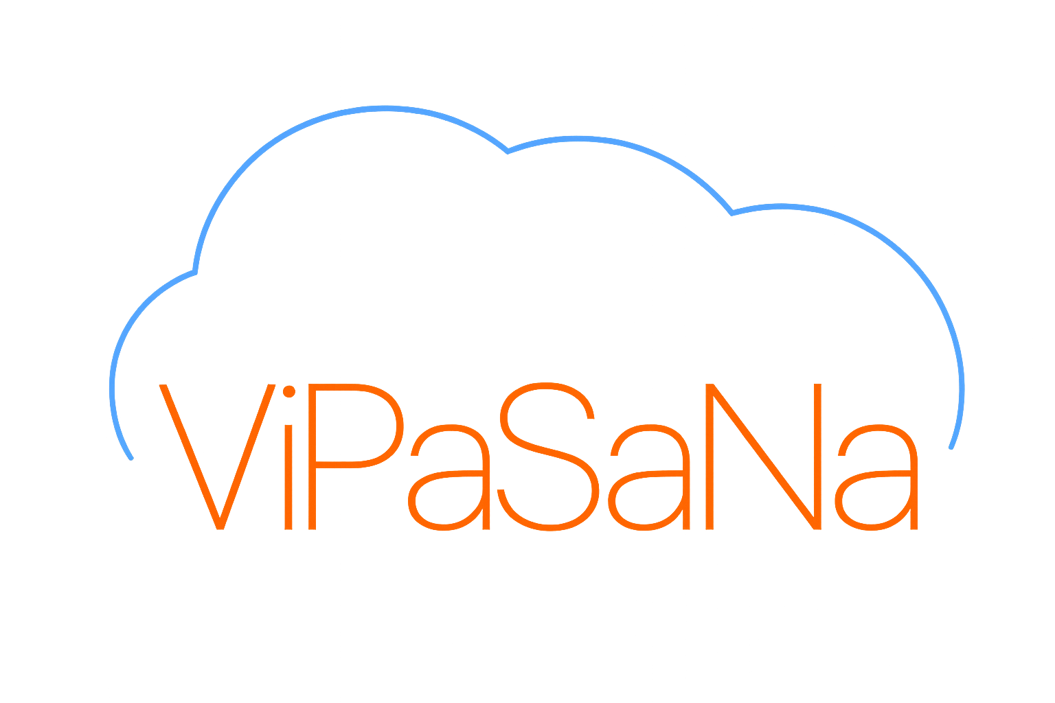 ViPaSaNa LLC logo